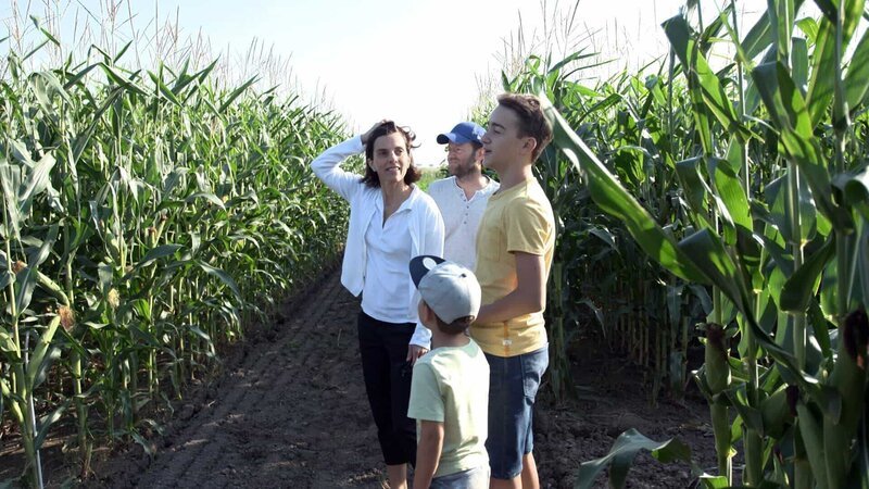 Familie Kovacs sieht erstmals wieviel Ackerfläche pro Person nur für den Maisanbau reserviert ist. – Bild: ORF / Langbein & Partner Familie Kovacs sieht erstmals wieviel Ackerfläche pro Person nur für den Maisanbau reserviert ist. – Bild: ORF / Langbein & Partner