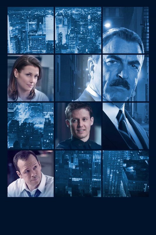 Blue Bloods Crime Scene New York Plakatmotiv – Bild: ORF 1