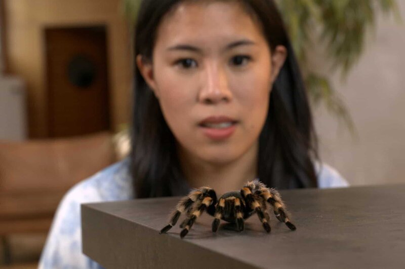 Die Wissenschaftsjournalistin Mai Thi Nguyen-Kim will herausfinden, ob Hypnose sie von ihrem Ekel vor Spinnen befreien kann. – Bild: ZDF und Jens Nolte.