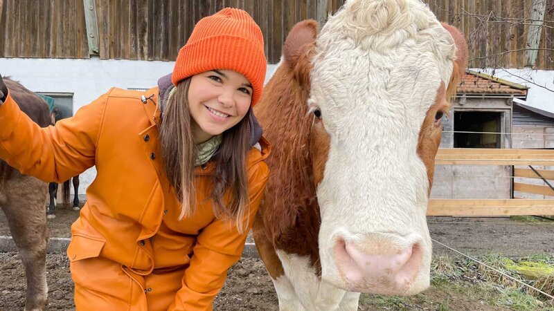 Anna hat gerade den Stall ausgemistet – zur Freude von Kuh Katja. – Bild: BR/​TEXT+BILD Medienproduktion GmbH & Co. KG/​Gerrit Mannes