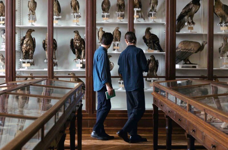 Gestützt durch wissenschaftliche Fakten und ornithologische Beobachtungen geht der Film auf Spurensuche, um das Gezwitscher unserer gefiederten Freunde zu verstehen. – Bild: Baldanders Films / Gestützt durch wissenschaftliche Fakten und ornithologische Beobachtungen geht der Film auf Spurensuche, um das Gezwitscher unserer gefiederten Freunde zu verstehen. Gestützt durch wissenschaftliche Fakten und ornithologische Beobachtungen geht der Film auf Spurensuche, um das Gezwitscher unserer gefiederten Freunde zu verstehen. – Bild: Baldanders Films / Gestützt durch wissenschaftliche Fakten und ornithologische Beobachtungen geht der Film auf Spurensuche, um das Gezwitscher unserer gefiederten Freunde zu verstehen.