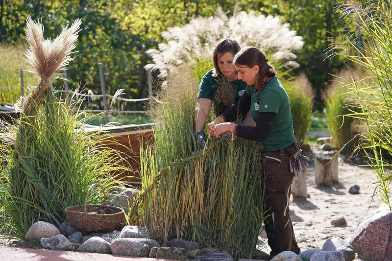 Natur im Garten (2006) S27E10 Folge 10 fernsehserien.de