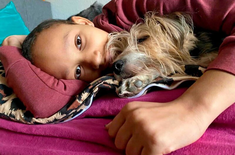 Mit ihrer Hündin Lia auf dem Bett zu kuscheln. Das hat Mirjam während der langen Krankenhausaufenthalte am meisten vermisst. – Bild: SWR