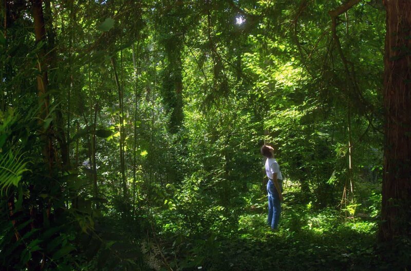 Orlando, meine politische Biografie – Bild: Les Films Du Poisson /​ Ein Name voller Melodie: Janis Sahraoui liebt seinen Vornamen ? er verbindet ihn mit seiner früh verstorbenen Mutter und der eigenen nichtbinären Identität.