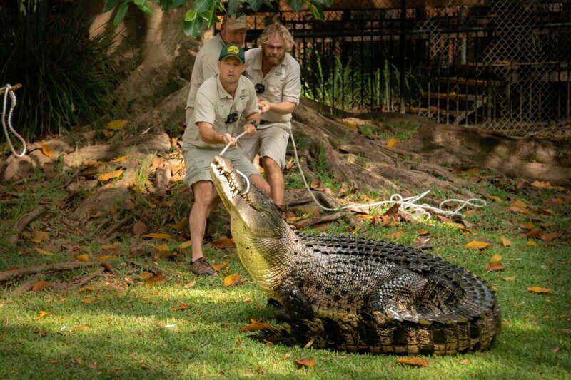 Zookeepers Stuart Gudgeon, Toby Millyard, Harrison Varley with Bosco the crocodile. – Bild: Discovery Channel