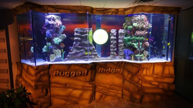 6,800-liter fish tank with an artificial rock landscape. – Bild: Warner Bros. Discovery