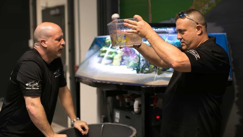 Wadye King and Brett Raymer work on the Gabriel Iglesias’ Studio tank. – Bild: Discovery Communications, Inc.