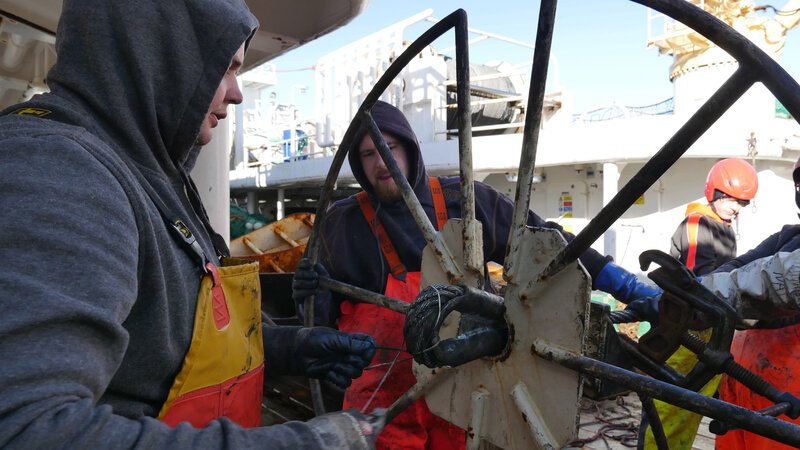 Welches Ausmaß wird der Tagesfang heute haben? Für die Berufsfischer ist diese Frage essentiell für das tägliche Geschäft. – Bild: BILD
