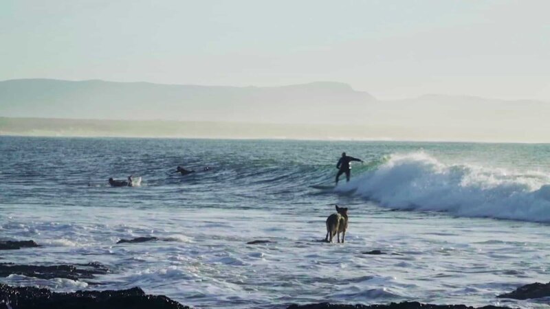 surfers – Bild: 2017_CuriosityStream-Inc.