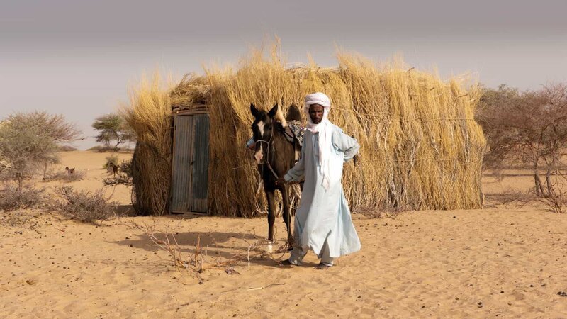 Mann des Kanuristammes mit seinem wertvollsten Besitz, seinem Pferd. Indil, Sahel, Niger. – Bild: ZDF und ORF/​Cosmos Factory/​Udo Maurer