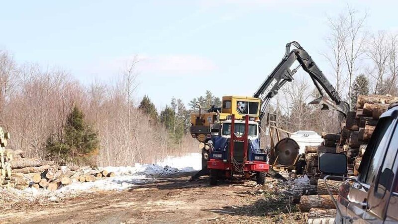 Crane picking up wood at wood pile. – Bild: Discovery Communications