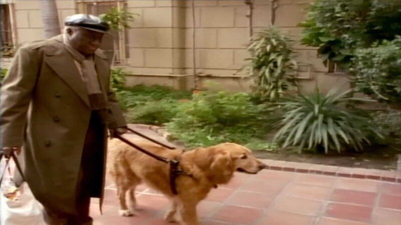 Seit Jahr und Tag ist Blindenhund Buff seinem Herrchen Lloyd (Bill Henderson) treu ergeben. Dort dann geschieht etwas gruseliges … – Bild: RTL Zwei