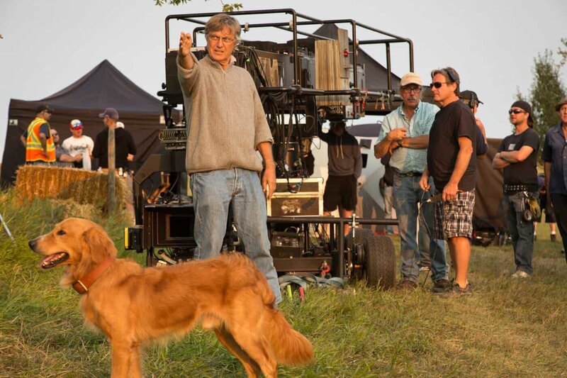 Bailey - Ein Freund fürs Leben – Bild: CH Media