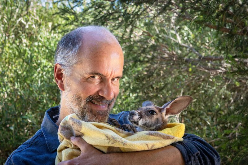 Christoph Maria Herbst darf das erste Mal in seinem Leben ein Kängurubaby halten und ist sofort schockverliebt. – Bild: ZDF und OLIVER ROETZ./​OLIVER ROETZ