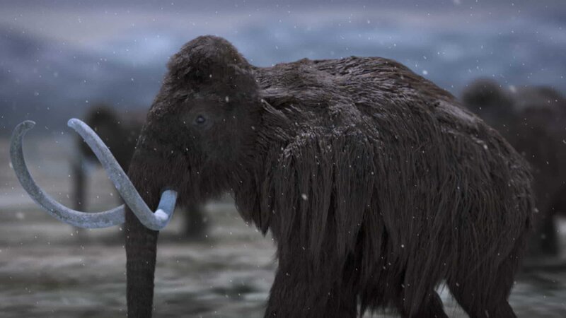 Das Wollhaarmammut – Bild: Discovery Communications, LLC