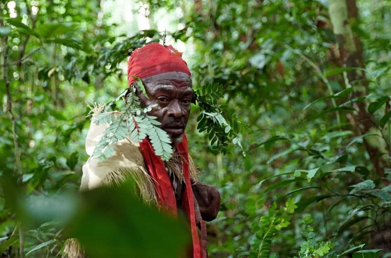 Erhalt der Artenvielfalt: Stammeshäuptling Mambongo möchte seine Gemeinschaft dazu bringen, den Wald verantwortungsvoller zu bewirtschaften. – Bild: Marco Rebuttini /​ © Marco Rebuttini