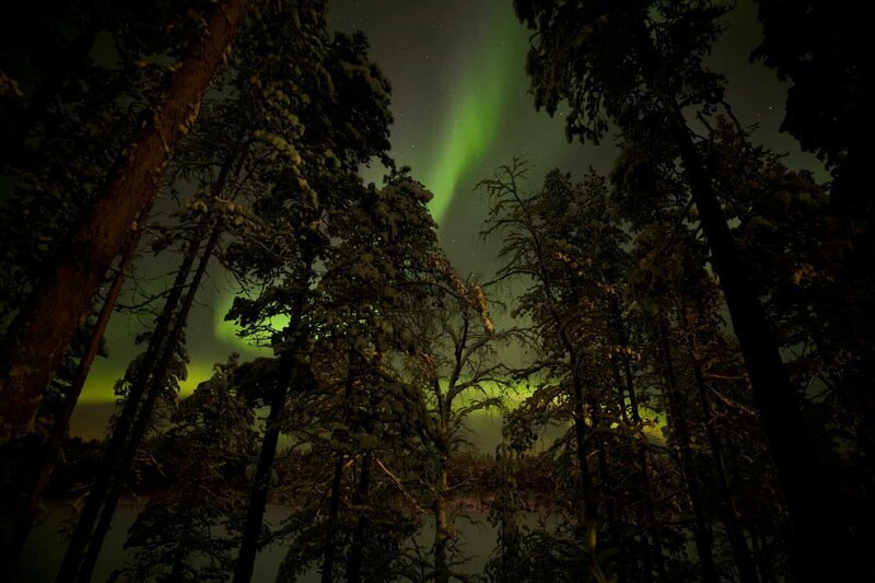 Nordlichter sind ein Phänomen, das vor allem im Frühling und Herbst in Nordschweden zu sehen ist. – Bild: Terra Mater /​ Matt Hamilton
