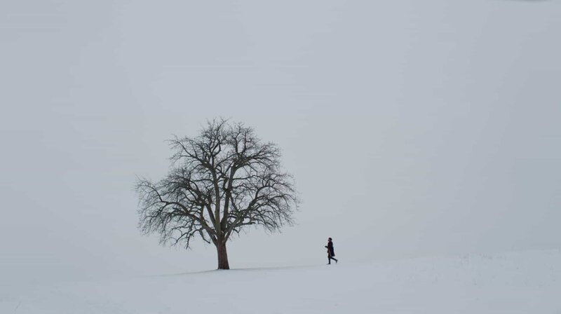Reisender, Visionär, ewig Suchender, gern in Selbstgespräche vertieft: Albrecht Dürer, gespielt von Wanja Mues, in verschneiter Winterlandschaft – Bild: NDR/ARTE/B | 14 FILM/Jonas Römmig Reisender, Visionär, ewig Suchender, gern in Selbstgespräche vertieft: Albrecht Dürer, gespielt von Wanja Mues, in verschneiter Winterlandschaft – Bild: NDR/ARTE/B | 14 FILM/Jonas Römmig