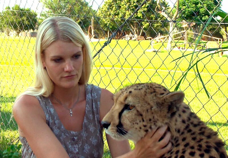 Annika hat eine besondere Beziehung zu den Wildkatzen. Heute erzählt sie über das Schnurren der Geparde. – Bild: SWR