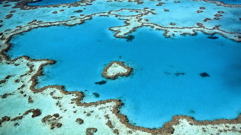 Das Great Barrier Reef liegt vor der Küste Queenslands im Nordosten Australiens. Inzwischen ist ein großer Bestandteil des Riffs von Korallenbleiche betroffen. – Bild: BILD