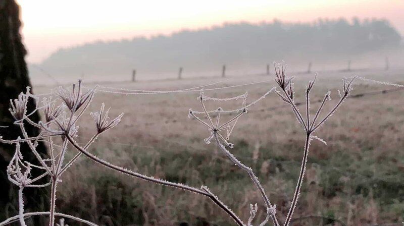 Auch im Winter bietet die Lüneburger Heide besondere Naturerlebnisse. – Bild: ZDF und NDR/TV Plus. Auch im Winter bietet die Lüneburger Heide besondere Naturerlebnisse. – Bild: ZDF und NDR/TV Plus.