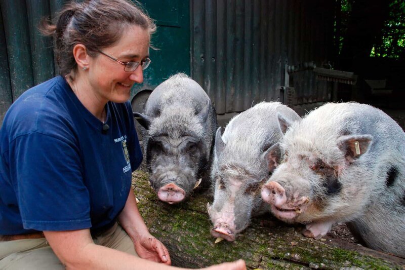 Die drei Miniwutzen lieben ihr Training mit Tierpflegerin Sabine Eitel. – Bild: BR/​Jens-Uwe Heins