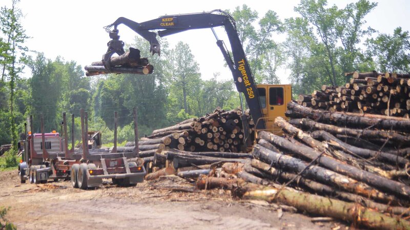 holzf-ller-extrem-cast-die-extrem-holzf-ller-cast-crew-xytkfb