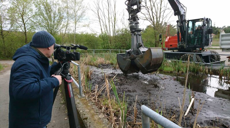 Wald der Biber und Kraniche – Bild: MDR/​Simank-Film