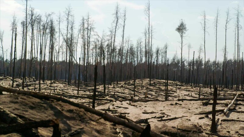 Waldbrandgebiet Lübtheen – Bild: MDR/​Martin Kaeswurm