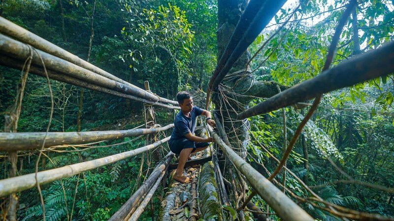Bau einer Brücke aus Baumwurzeln im indischen Bundesstaat Meghalaya. – Bild: ZDF und Surabhi Tandon./​Surabhi Tandon