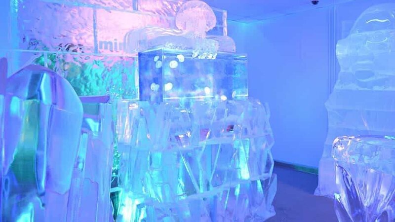 Ice Bar Aquarium. – Bild: For merchandising, publishing & ancillary products, check talent contract, appearance & property releases.