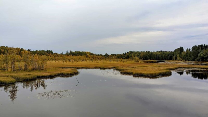 Finnland ist das Land der Seen und Moore. Nirgendwo sonst in Europa gibt es davon eine so große Fläche. – Bild: ZDF und Tobias Winkel./​Tobias Winkel