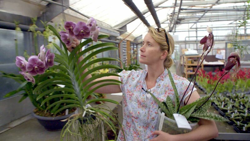 Marei Karge züchtet Orchideen in Dahlenburg. – Bild: ZDF und docstation./​docstation