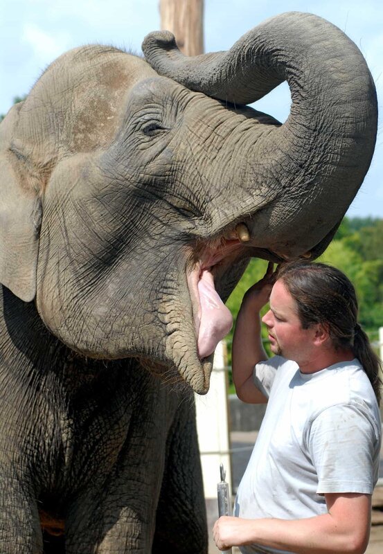 Matthias Bartel betreut die Elefanten. – Bild: BR/​WDR/​Melanie Grande/​Melanie Grande