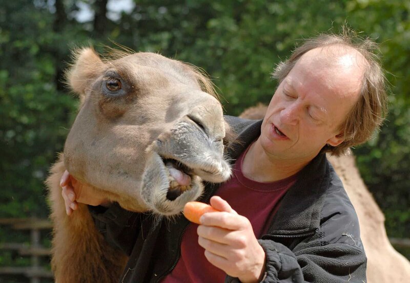 Pfleger Ferdinand Heinemann versorgt die Kamele. – Bild: BR/​WDR/​Melanie Grande/​Melanie Grande