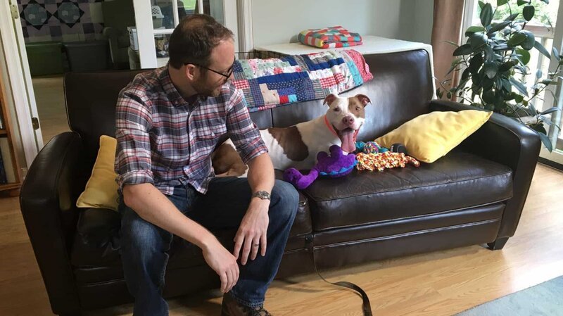 Andrew and Tyrion are on the couch at the home check. – Bild: Animal Planet /​Discovery Communications