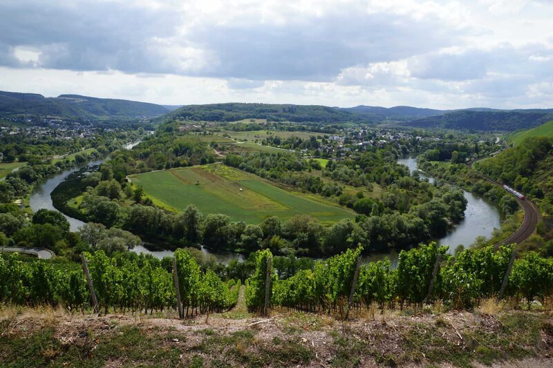 Saar bow near Wiltingen, a wine area in Rhineland-Palatinate – Bild: shutterstock