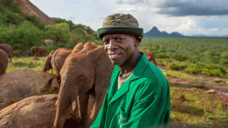 Julius on the plains with a bunch of elephants. – Bild: David Clawson /​ Animal Planet /​ Discovery Communications