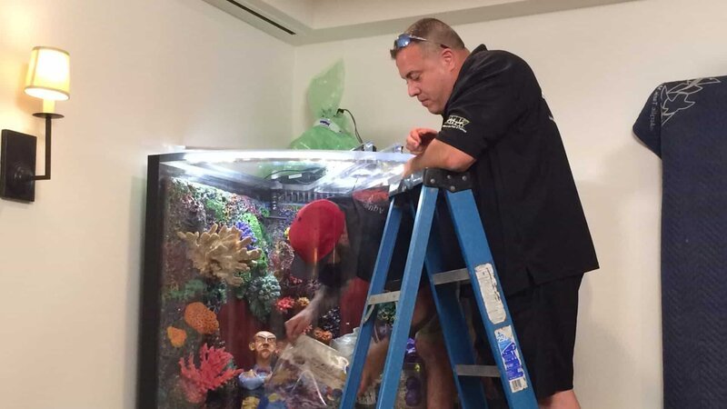 Wayde stands on a ladder watching as Kyle inserts sand into the tank. – Bild: Discovery Communications