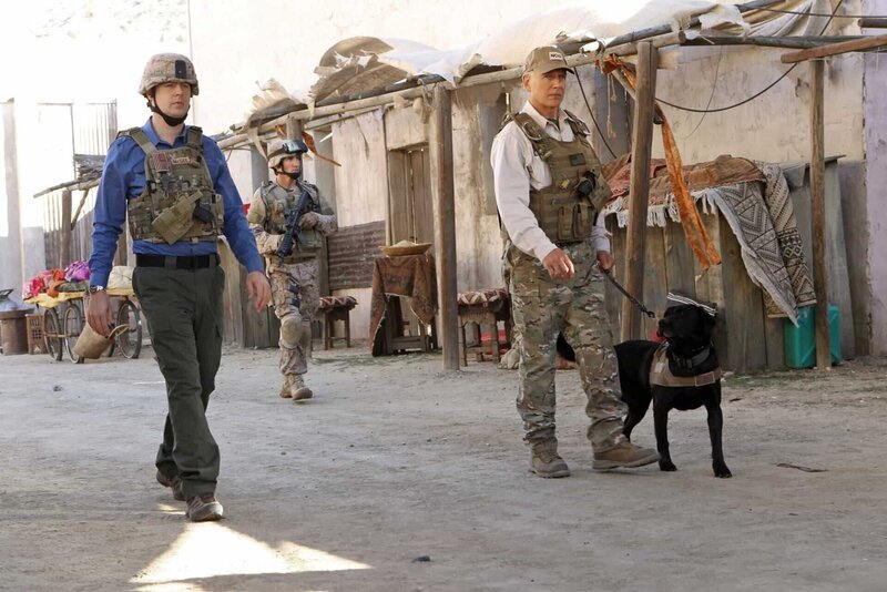 In Afghanistan wird ein Hundeführer der Marines, Ted LaMere, aus dem Hinterhalt erschossen. Gibbs (Mark Harmon, r.) und McGee (Sean Murray, l.) beginnen mit den Ermittlungen … – Bild: 2013 CBS Broadcasting, Inc. All Rights Reserved.