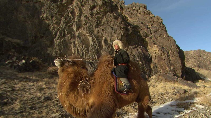 Auf der Suche nach neuen Weiden; Die Wüste Gobi – Bild: CuriosityStream Inc. /​ Spiegel TV Wissen