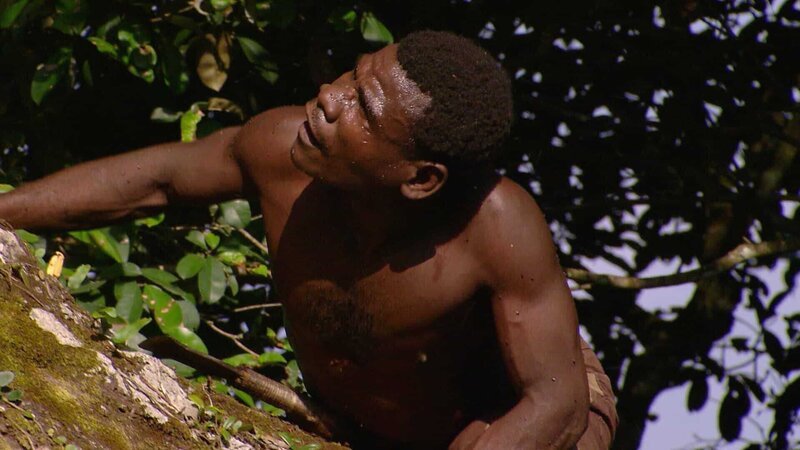 Ein Mitglied des Banda-Stammes, der auf einen Baum klettert – Bild: CuriosityStream Inc. /​ Spiegel TV Wissen
