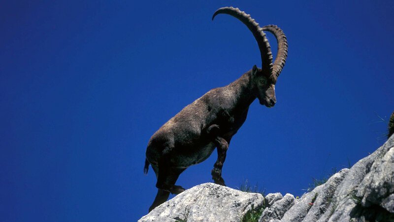 . – Bild: Bergblick