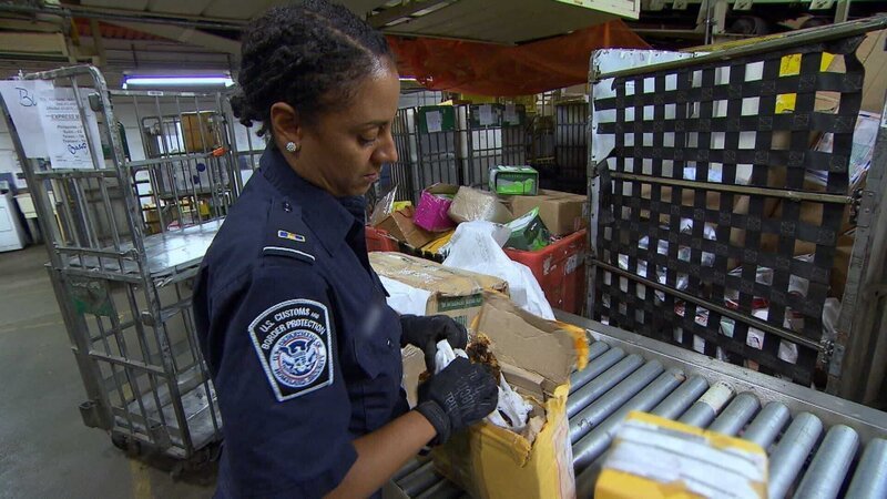 In der Postzelle beim Zoll muss jedes Paket gründlich kontrolliert werden … – Bild: Seven Network (Australia) Lizenzbild frei