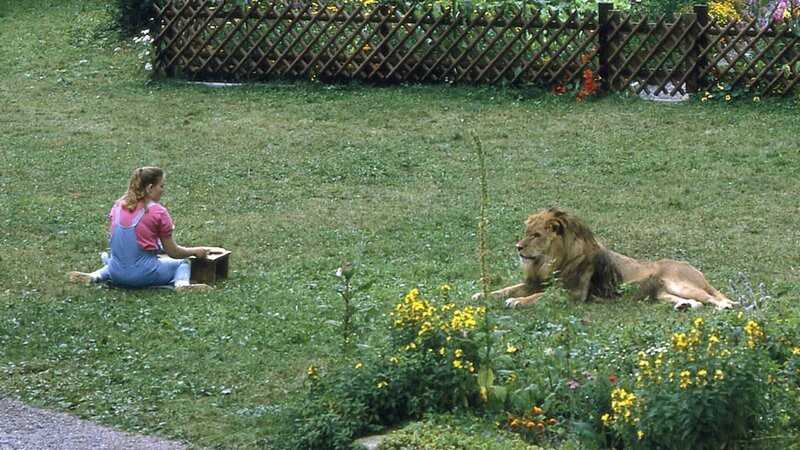 Angie (Angelika Reißner) hat sich mit dem Löwen von einem Wanderzirkus angefreundet. Sie findet es ganz normal, dass sie der Löwe plötzlich in Brinkmanns Garten besucht. – Bild: ZDF und Thomas Waldhelm./​Thomas Waldhelm