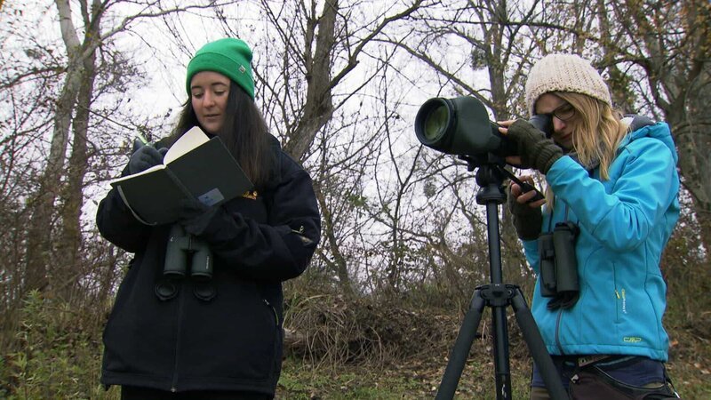 Vogelzählung. – Bild: ORF/​ORF-Wien