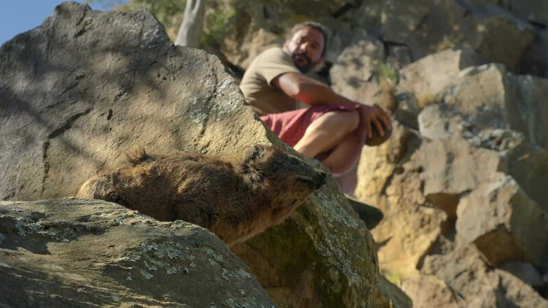 Hazen Audel schaut von einem Felsen auf einen Felsenhyrax hinunter. (National Geographic für Disney) – Bild: National Geographic for Disney /​ Disney