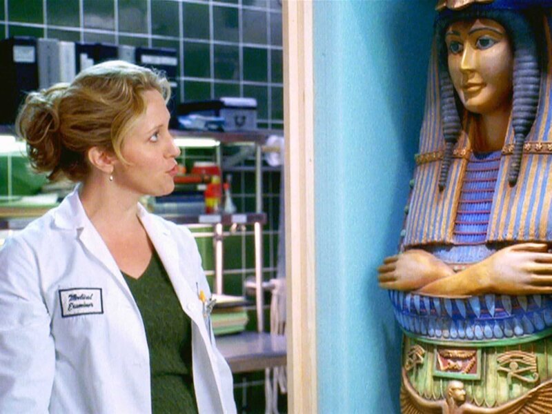 Kate (Brooke Smith) kommt mit einem außergewöhnlichen Fall in die Pathologie: Eine 3.000 Jahre alte Mumie soll von ihr obduziert werden. – Bild: RTL /​ NBC Universal.