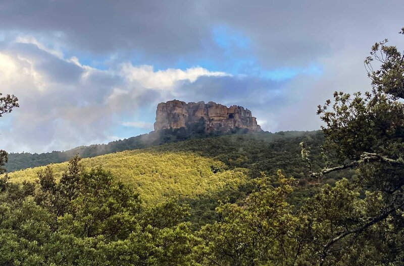 Wie eine Kathedrale aus Kalkfelsen erhebt sich das Supramonte-Gebirge über einem jahrhundertealten Wald aus Steineichen. Das östliche Innere der Insel ist das Kernrevier des sardischen Mufflons. – Bild: phoenix/​Carmen Butta