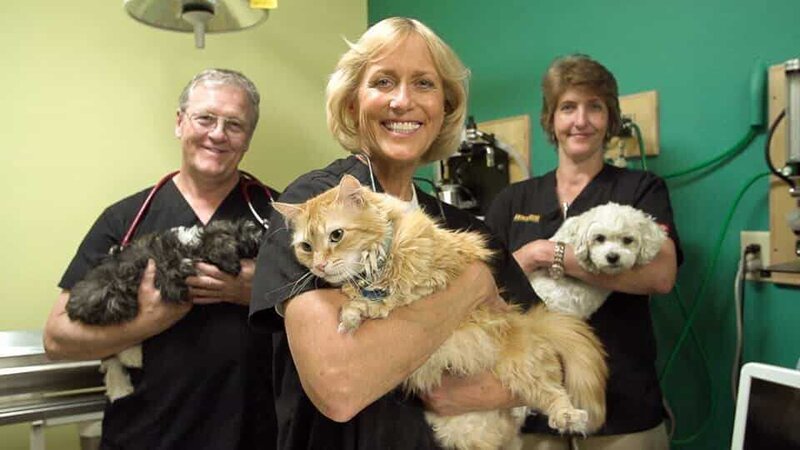 Dr. Terry Wighs, Dr. Dee Thornell and Nicole Legerat in the office holding animals. – Bild: Animal Planet /​ Discovery Communications